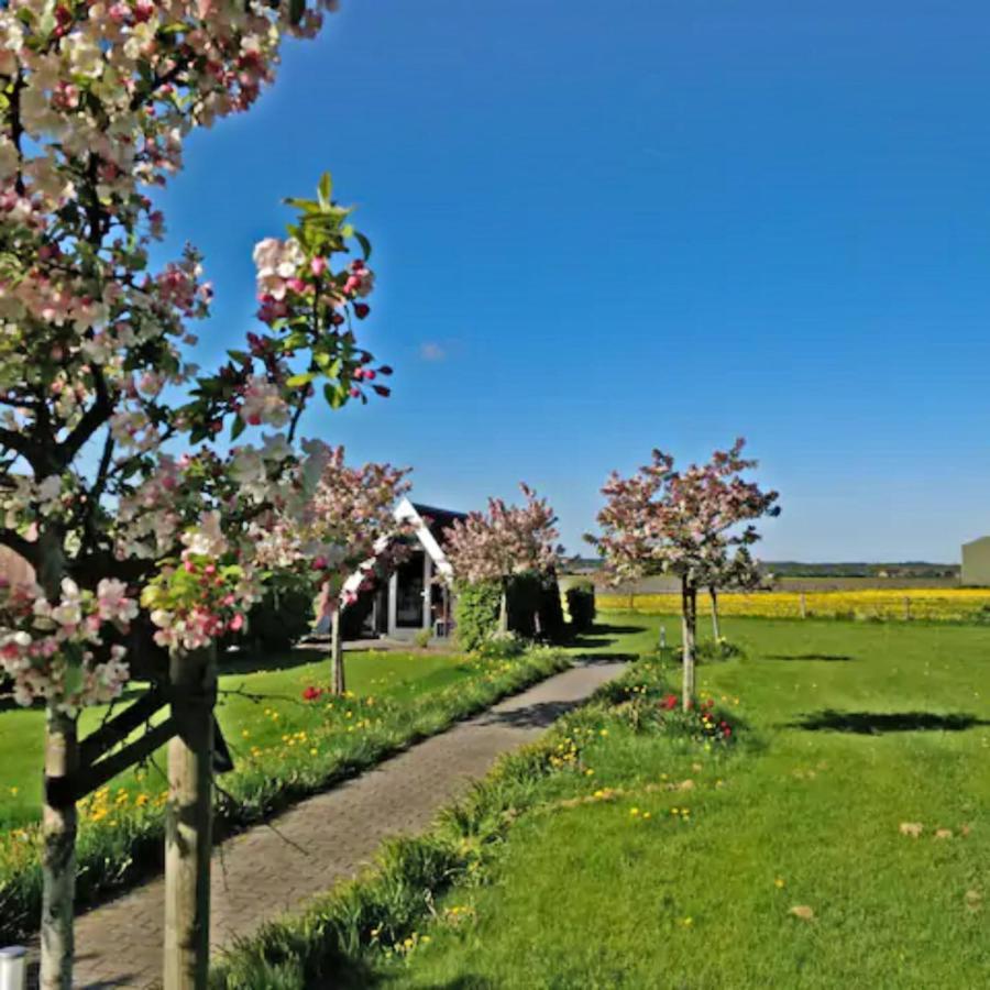 Hotelhuisje Warmenhuizen #C Esterno foto