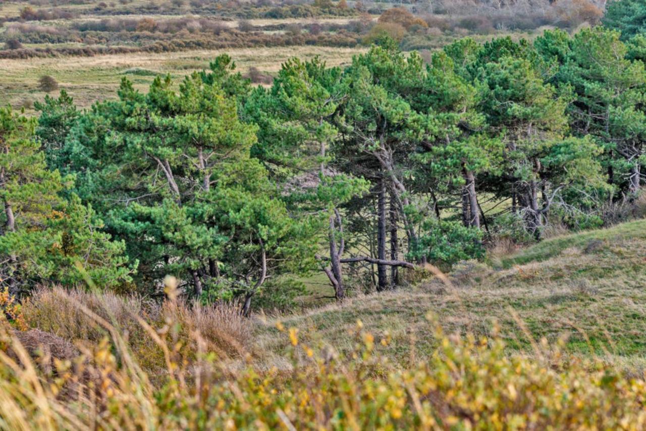 Hotelhuisje Warmenhuizen #C Esterno foto